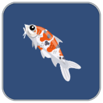 Image of the Freshwater Koi fish