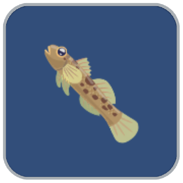 Image of the Northern Goby fish