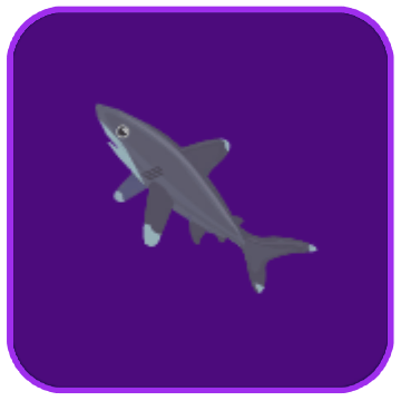 Image of the Northern Whitetip Shark fish