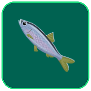 Image of the Polar Herring fish