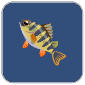 Image of the River Perch fish