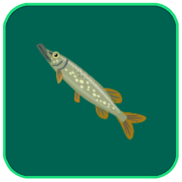 Image of the River Pike fish