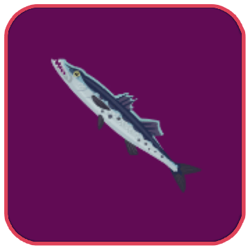 Image of the Saltwater Barracuda fish