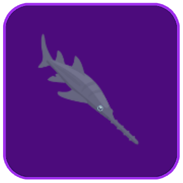 Image of the Tropical Sawfish fish