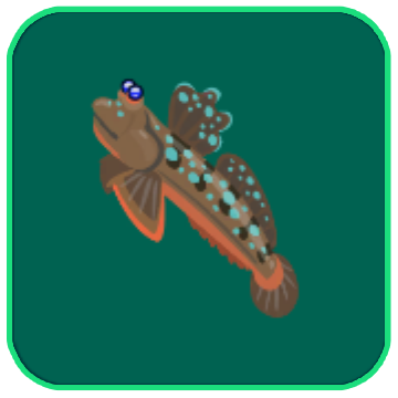 Image of the Wetland Mudskipper fish